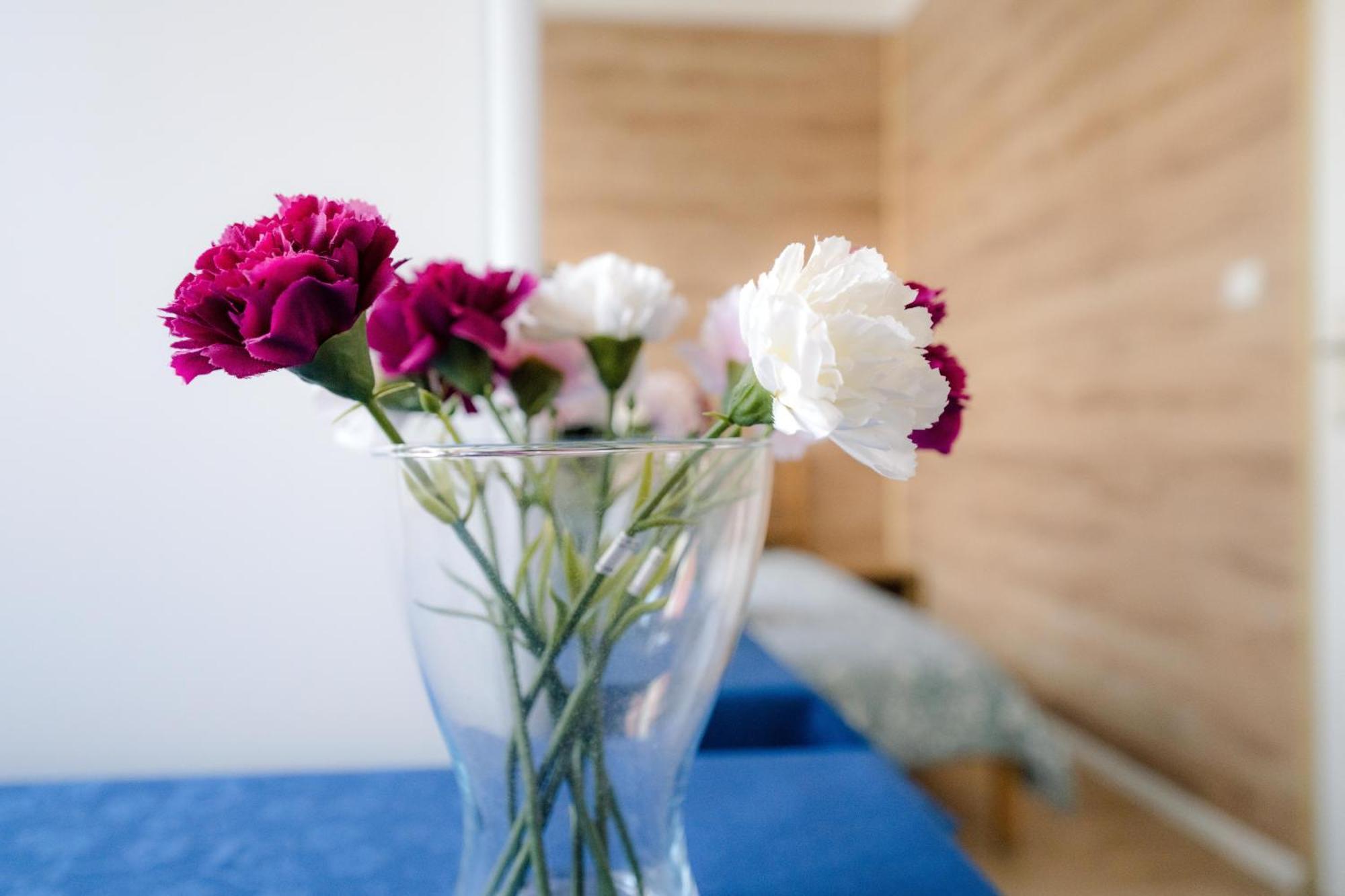 Cosy Balcony Apartment Grudziadz Ngoại thất bức ảnh